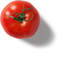 OnTrack Health Retreats tomato