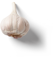 OnTrack Health Retreats garlic